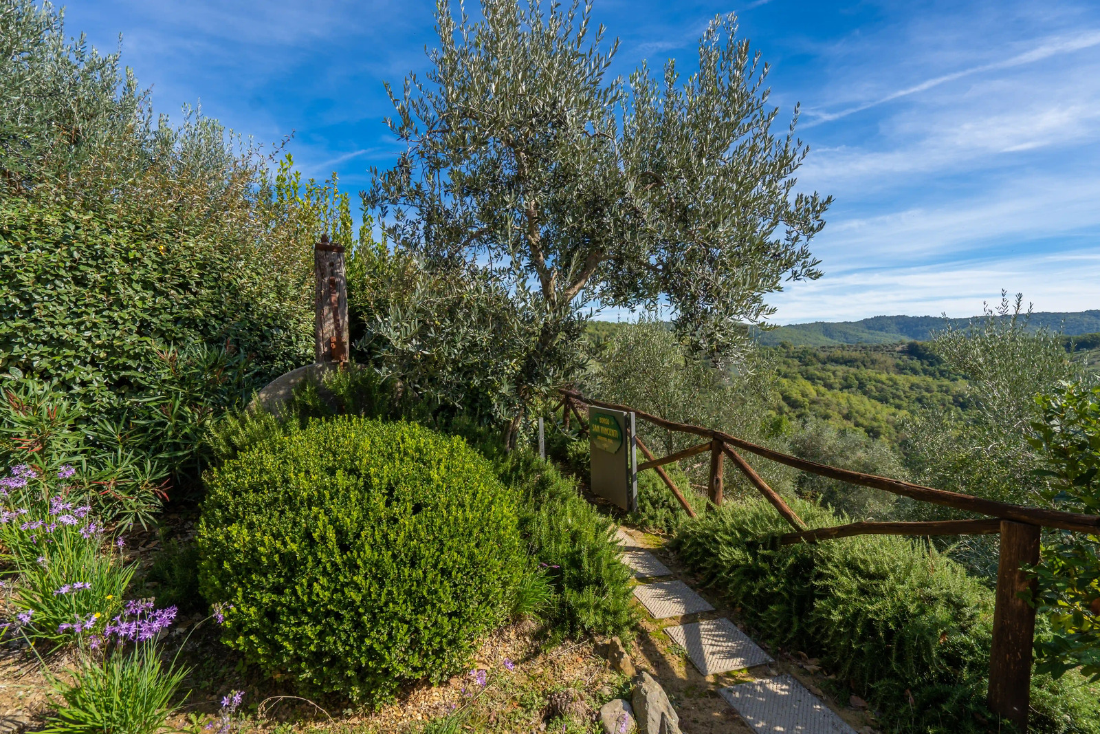 green surroundings