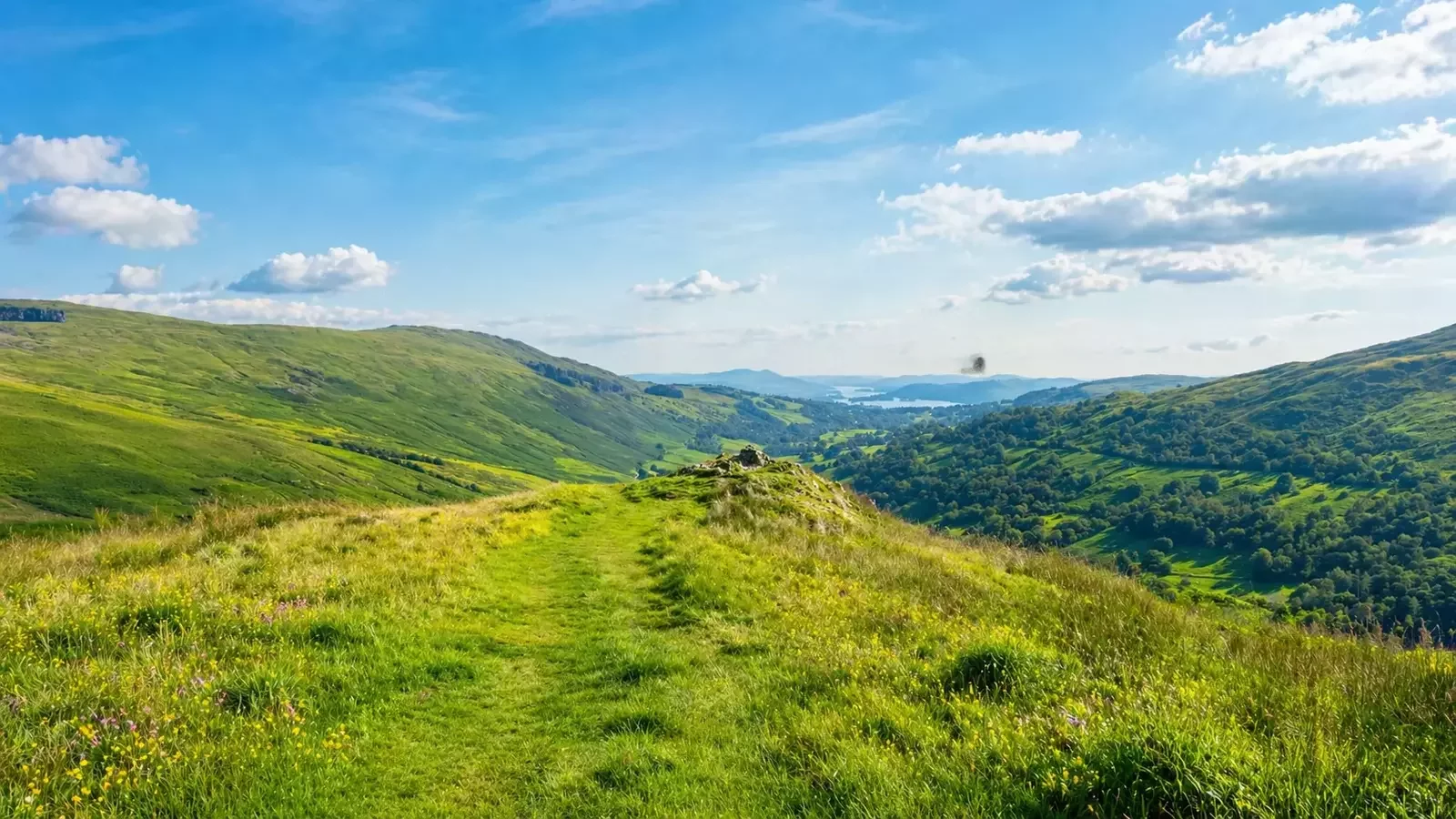 Cumbria